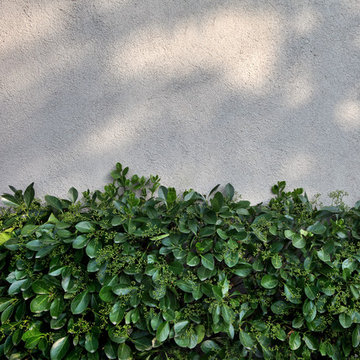 Saugatuck Shores Landscape