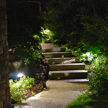 Lighting