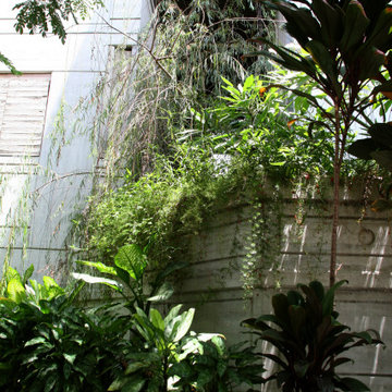 City Garden