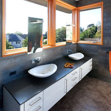bath mirror & window