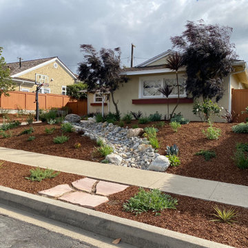 Torrance: Hollywood Riviera Bee Friendly Ecological Garden