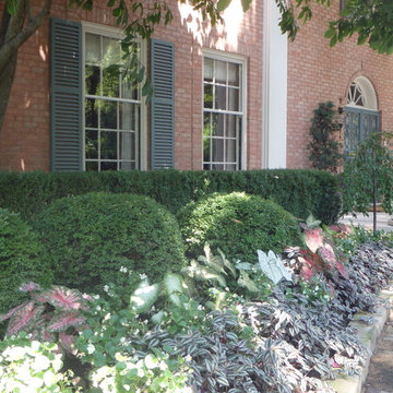 Our Work