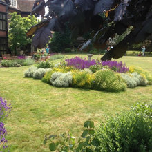 Planting Inspiration