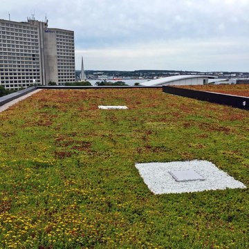 Central Library Green Roof - Halifax, NS