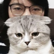 Enic Huang's photo