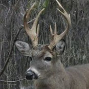 Tucker Painter's photo