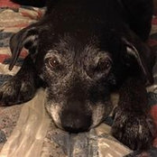 Katie Bollinger's photo