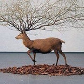 Estelle Savasta's photo