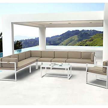 Contemporary Back Yard