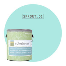 Paint Colors