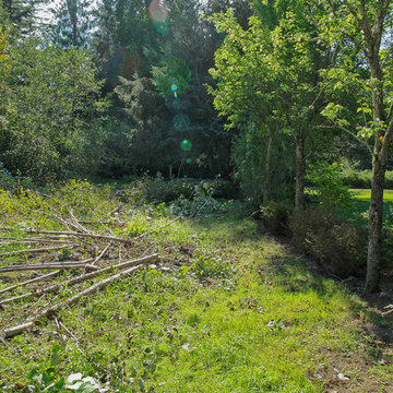 Stream bank