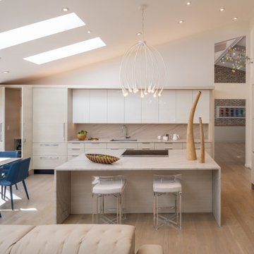 Contemporary with Neutral Colorway in Potomac, MD