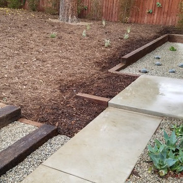 Backyard Altadena Re-design/Simple Clean-up