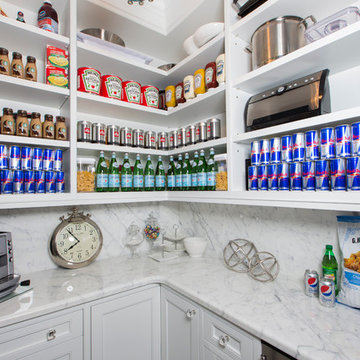 Contemporary Toronto Butlers Pantry