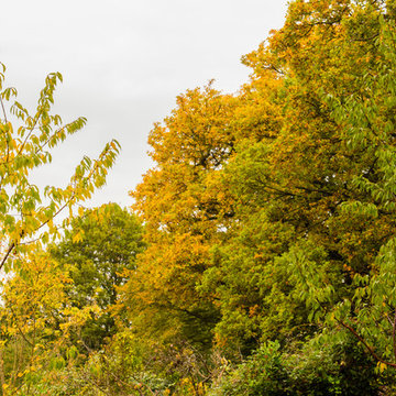 Autumn Interest