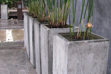 Inspiration for a contemporary front yard partial sun garden in Sydney with a garden path.