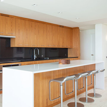 Siegel Residence
