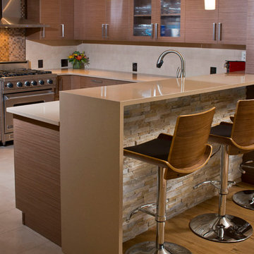 Vail Colorado Modern Kitchen Remodel - Echo Wood Veneer