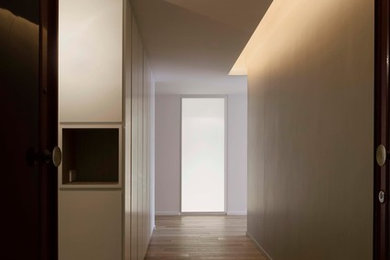 Example of a minimalist entryway design in Paris