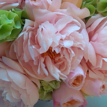 Blooms by Broadway Botanicals