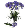 29" African Lily Stem, Set of 12, Purple