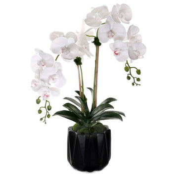 Real Touch Phalaenopsis Orchids in Black Dimensional Pot