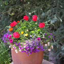 Annual Custom Containers - Outdoor Pots And Planters