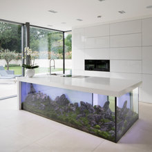 Modern House