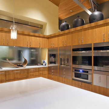 Arcadia Suburban Modern | Kitchen Appliance Wall