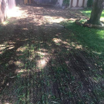 Lawn Care Service - Vertical Cut - Overseeding | Wichita, Kansas