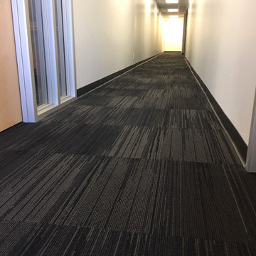 Hallway with New Cove Base