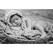Jenn Lovett's photo