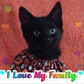 Priscilla Ramirez's photo
