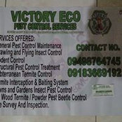Edilberto Buguis's photo