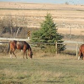Barb Twardoski's photo