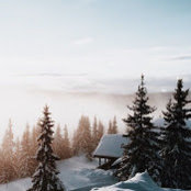 Greg Masching's photo