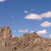 Jan Dickens's photo