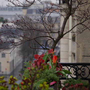 "Inversion des pôles" - ligne végétale sur un balcon haussmannien