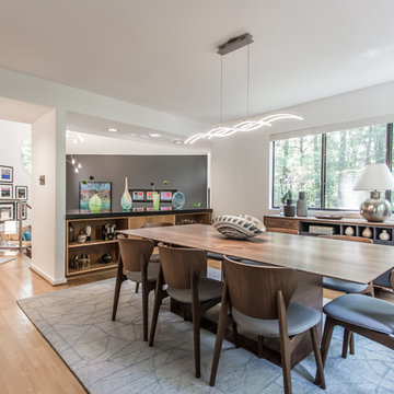 Mid-Century Modern in Reston, VA
