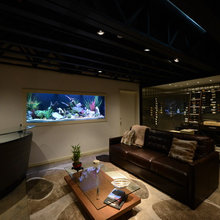 Lamont’s Fish Tank Ideas