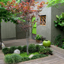 Linda’s Yard Ideas