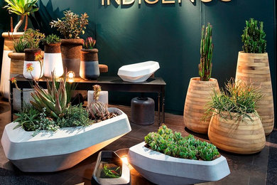 Indigenus planters - the collection