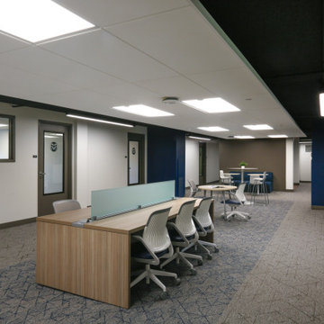 CSU Foundation