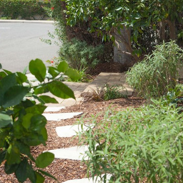 Lush Drought Tolerant Landscape in Tustin California