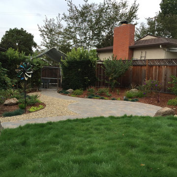 Castro Valley big dog back yard