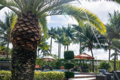 Miami Lakes Resort-Style Pool