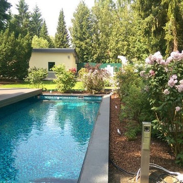 Pool in bepflanztem Garten