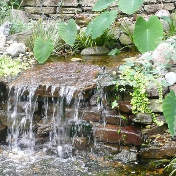 Water Gardens