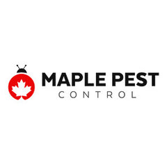 Pest Control In Toronto