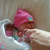 Amanda Grogan's photo